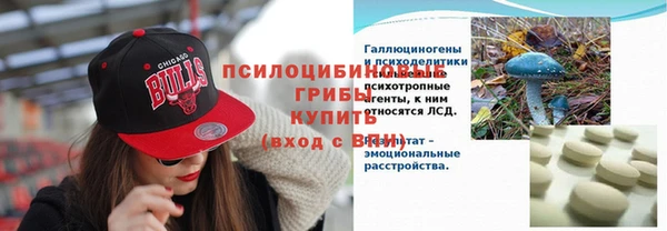прущие крисы Няндома