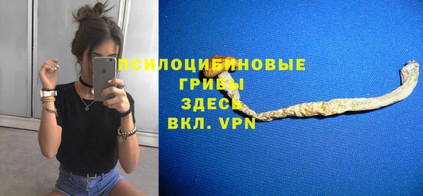 прущие крисы Няндома