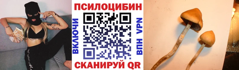 Псилоцибиновые грибы Cubensis  Ртищево 